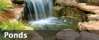 Pond Design